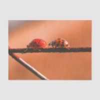 Ladybugs Play Follow The Leader Decoupage