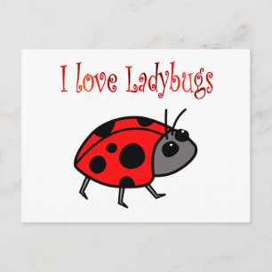 Ladybugs Postcard