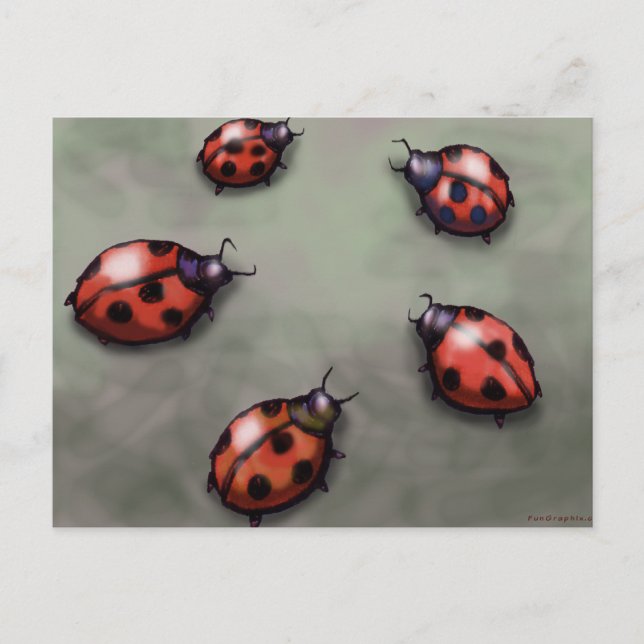 Ladybugs Postcard (Front)