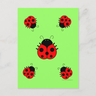 Ladybugs Postcard