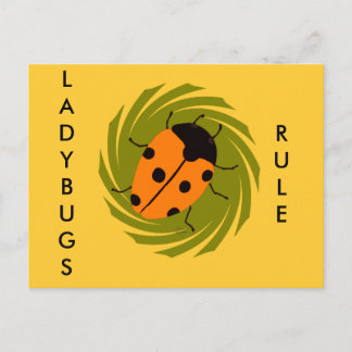 Ladybugs Postcard