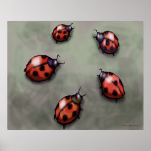 Ladybugs Poster