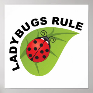 Ladybugs Rule Poster