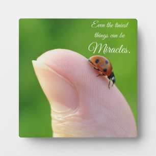 Ladybugs "Smallest Miracles" Plaque Gift
