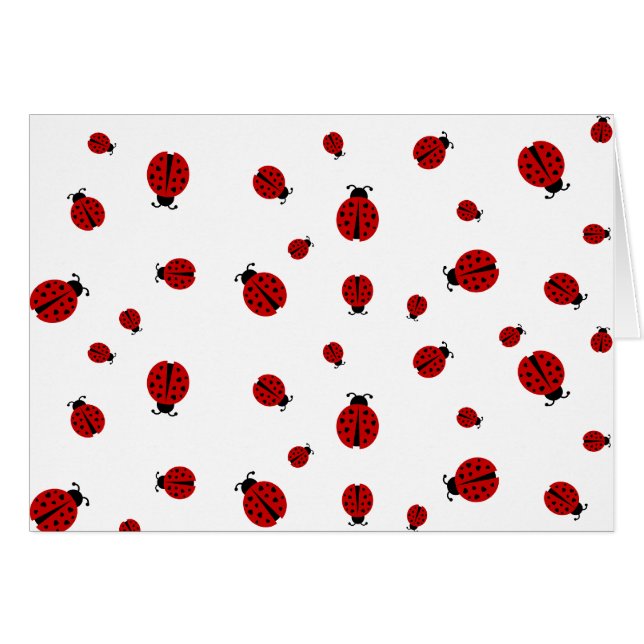 ladybugz. (Front Horizontal)