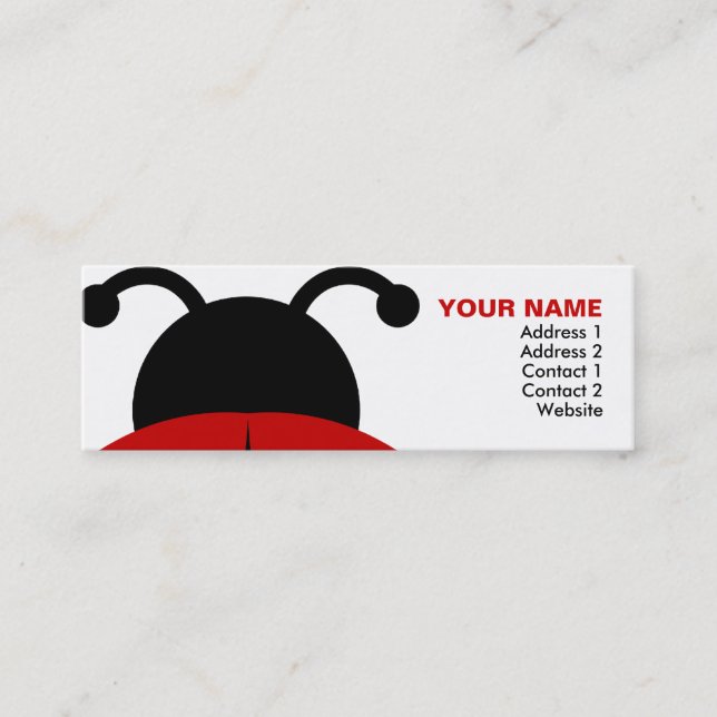 ladybugz. mini business card (Front)