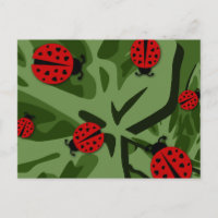ladybugz.
