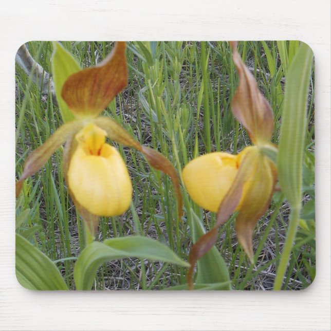 Lady's Slipper Mouspad Mouse Mat (Front)