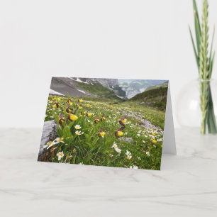 Lady's Slipper Orchids - Greeting Card