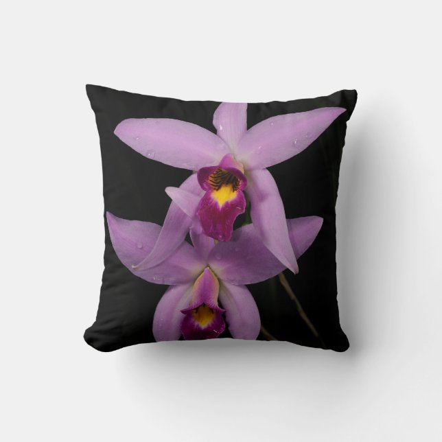 Laelia Anceps Cushion (Front)