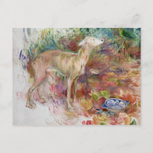 Laerte the Greyhound, 1894 Postcard