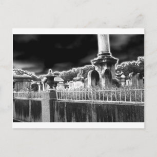 Lafayette Cemetery Postcard