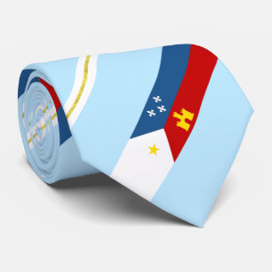 Lafayette (Louisiana) city flag Neck Tie