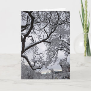 Lafayette Square, snowy trees  Card