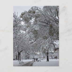 Lafayette Square, Washington, DC, winter path Postcard