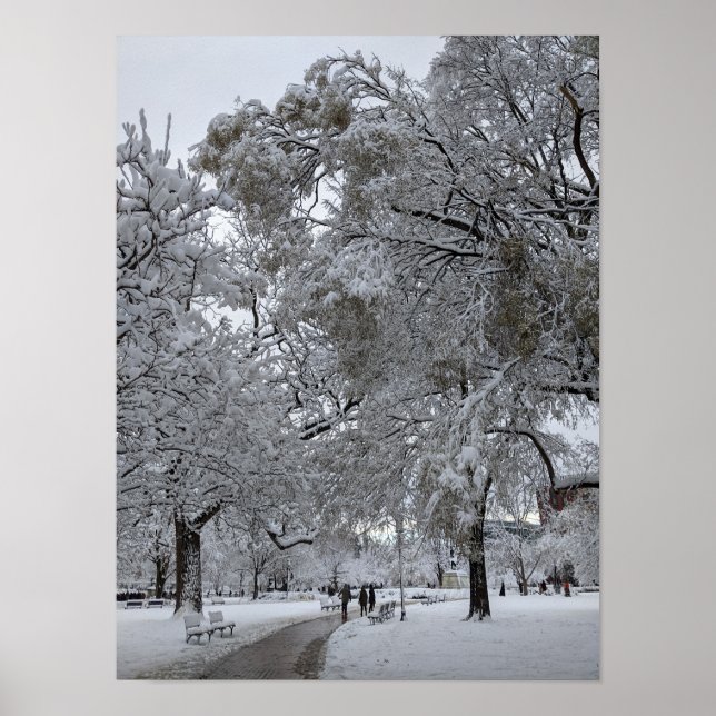 Lafayette Square, Washington, DC, winter path Poster (Front)
