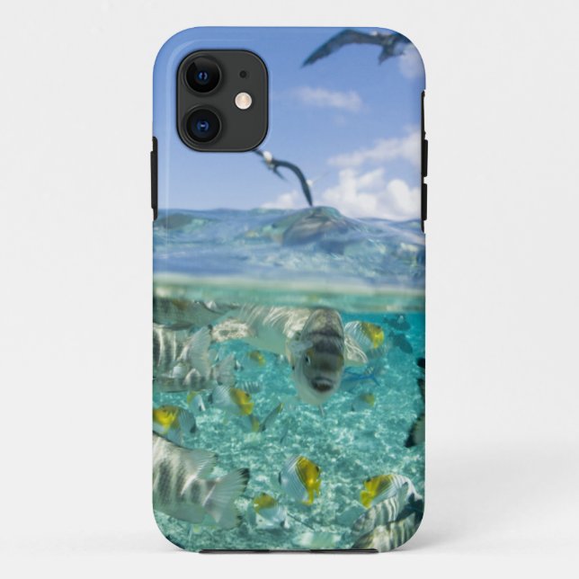 Lagoon safari trip featuring Stingrays Case-Mate iPhone Case (Back)