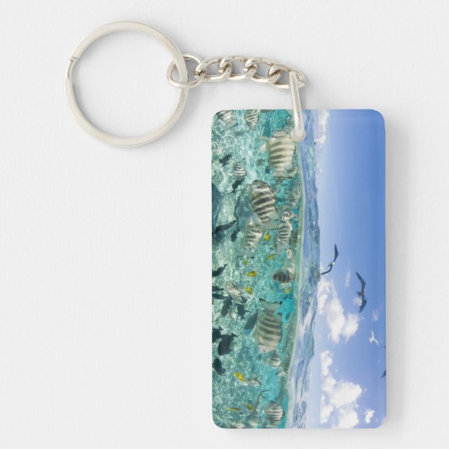 Lagoon safari trip featuring Stingrays Key Ring (Front)