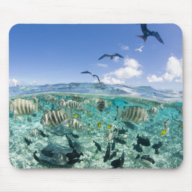 Lagoon safari trip featuring Stingrays Mouse Mat (Front)