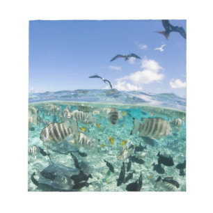 Lagoon safari trip featuring Stingrays Notepad