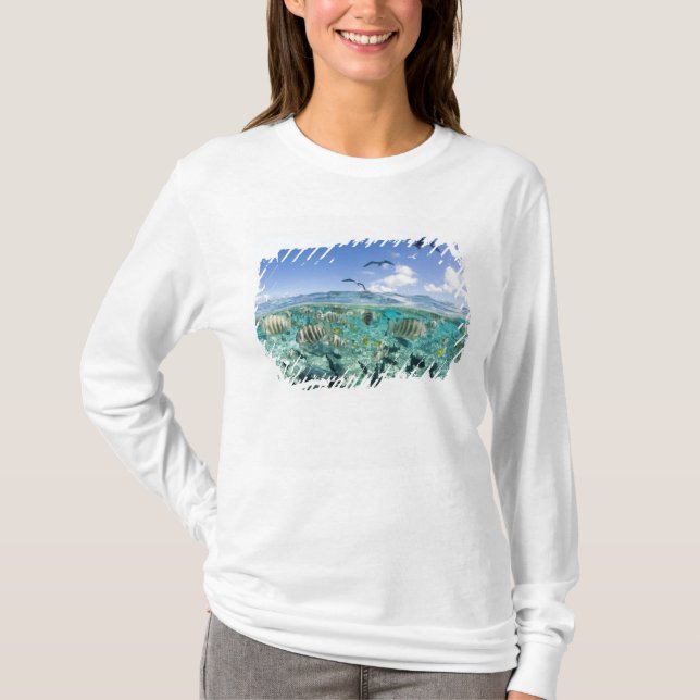 Lagoon safari trip featuring Stingrays T-Shirt (Front)
