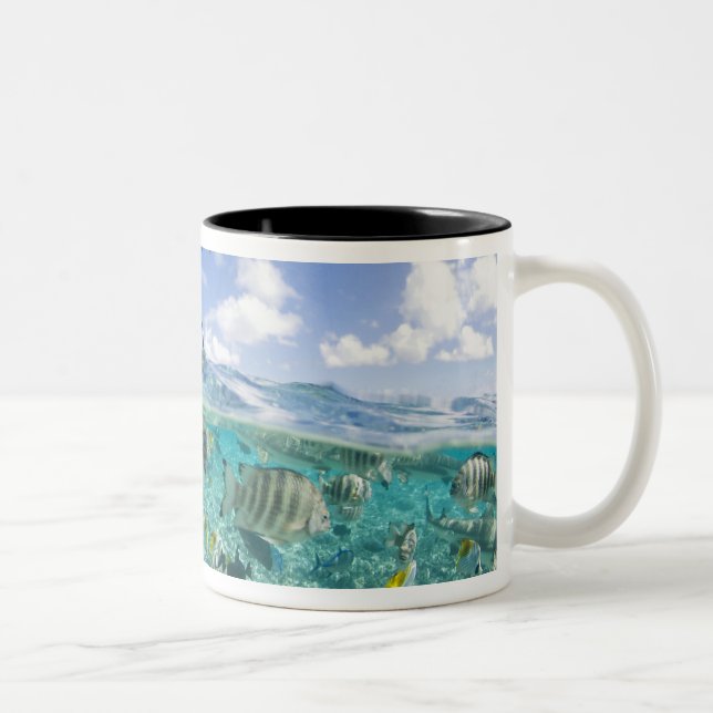 Lagoon safari trip featuring Stingrays Two-Tone Coffee Mug (Right)