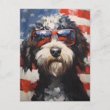 Lagotto Romagnolo 4th of July Independence day