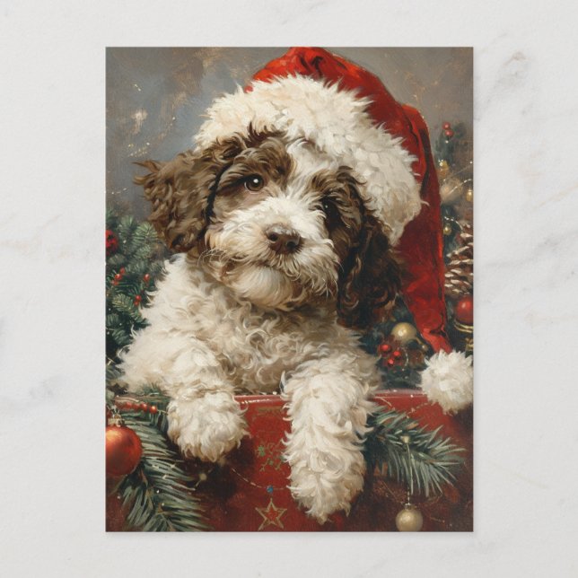 Lagotto Romagnolo Christmas Postcard (Front)