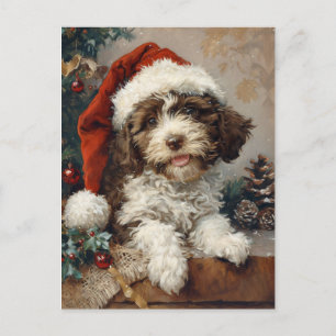 Lagotto Romagnolo Christmas Postcard