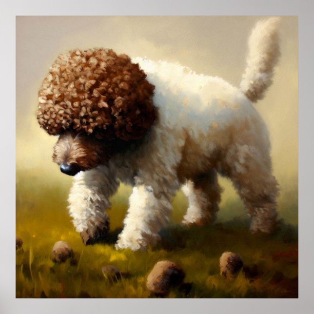 Lagotto Romagnolo Dog Poster (Front)