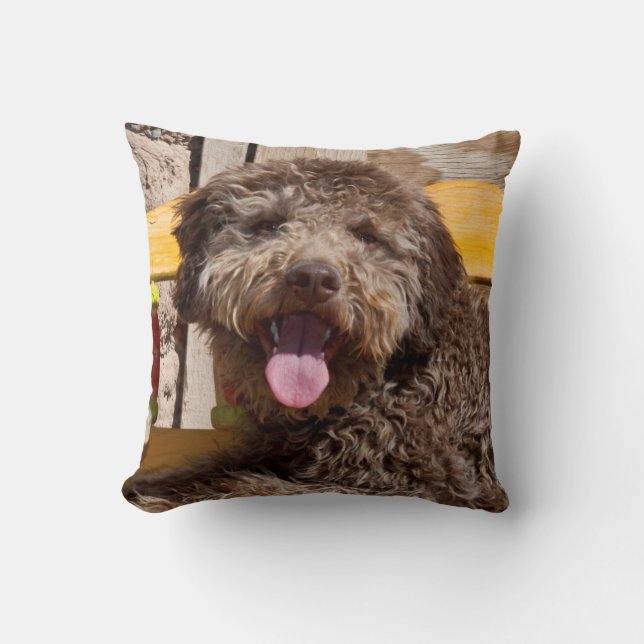 Lagotto Romagnolo Lying On A Wooden Bench Cushion (Front)