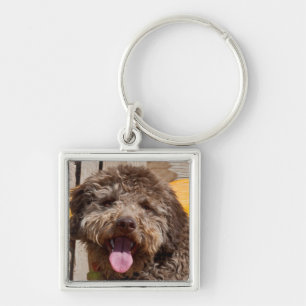 Lagotto Romagnolo Lying On A Wooden Bench Key Ring