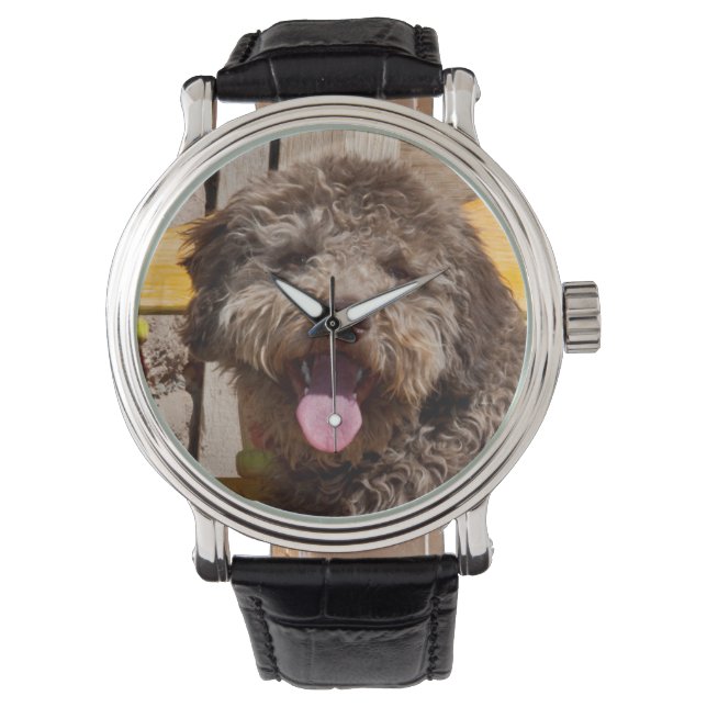 Lagotto Romagnolo Lying On A Wooden Bench Watch (Front)