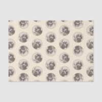 Lagotto Romagnolo Painting Cute Original Dog Art