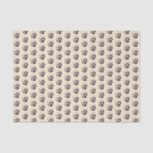 Lagotto Romagnolo Painting - Cute Original Dog Art Tissue Paper (Front)