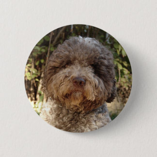 lagotto-romagnolo swipes in 6 cm round badge