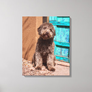 Lagotto Romagnolo Waiting By A Blue Door Canvas Print
