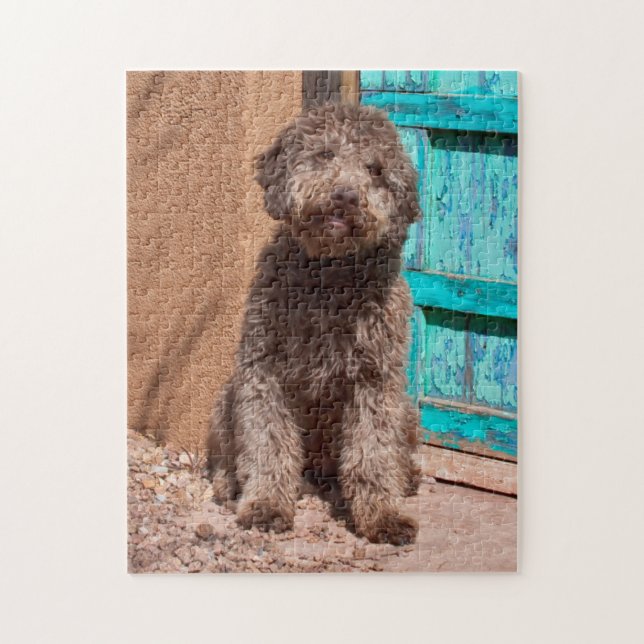 Lagotto Romagnolo Waiting By A Blue Door Jigsaw Puzzle (Vertical)