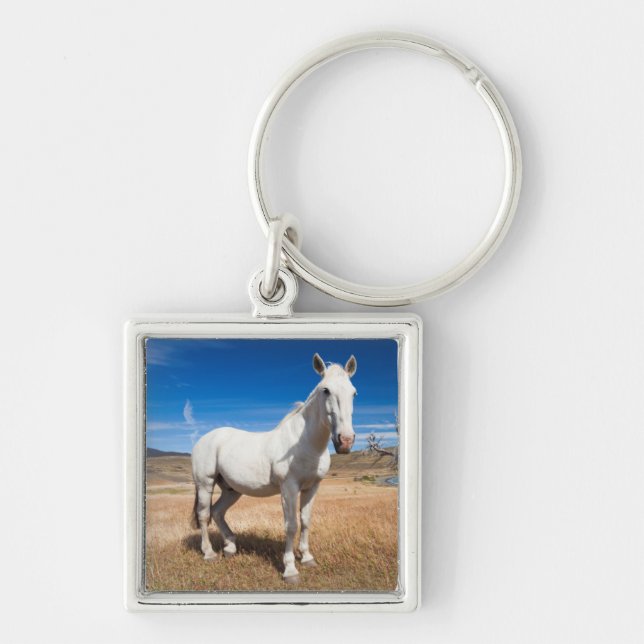 Laguna Azul, landscape with horses Key Ring (Front)