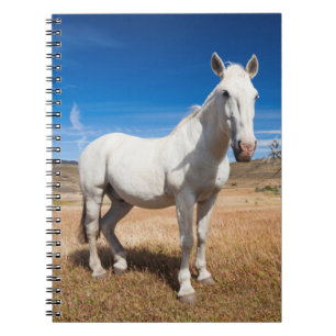 Laguna Azul, landscape with horses Notebook
