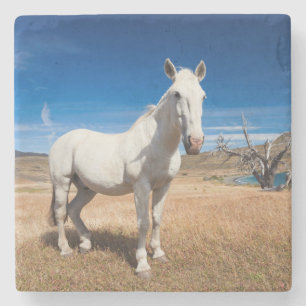 Laguna Azul, landscape with horses Stone Coaster