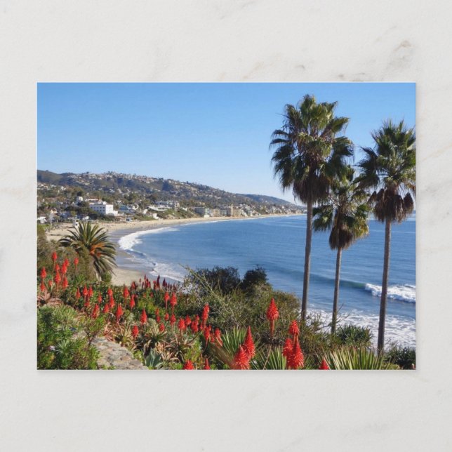 laguna beach california postcard (Front)