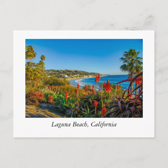Laguna Beach, California Postcard (Front)
