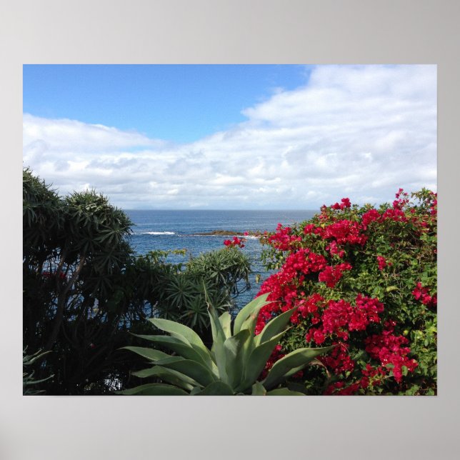Laguna Beach Ocean View Poster (Front)