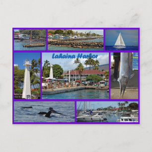 Lahaina Harbour Postcard