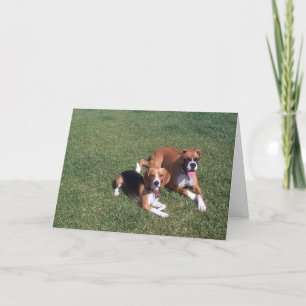 Laid Back Card