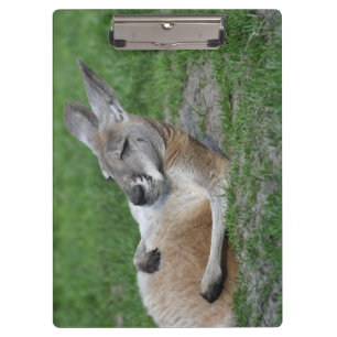 Laid-back Kangaroo Clipboard
