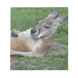 Laid-back Kangaroo Notepad