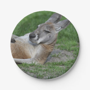 Laid-back Kangaroo Paper Plate