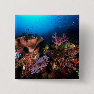 Laja Ampat Underwater 15 Cm Square Badge